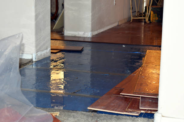Professional Water Damage Restoration technician working in Packwood, WA